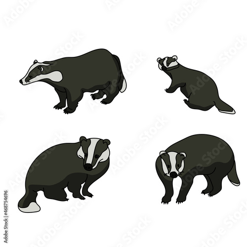 Set of badgers in cartoon style, predatory animals with fluffy wool