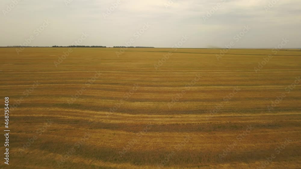 aerial photography of cornfields in Russia aerial photography of cornfields in Russia
