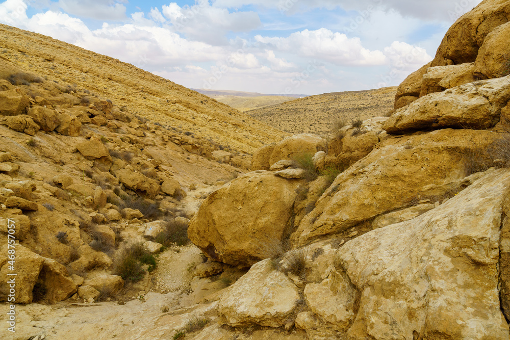 Obraz premium Wadi (desert valley) landscape in Yeruham ridge, the Negev Desert
