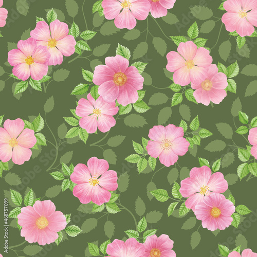 Wild Roses seamless pattern. Scrapbook Paper. Pink Roses 