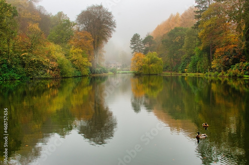 A landscape view of a pond on a slightly misty morning. Taken in the autumn, it show the wonderful colours and the reflection in the water