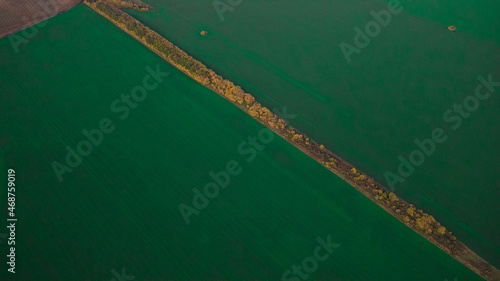 green sown fields in autumn in Russia