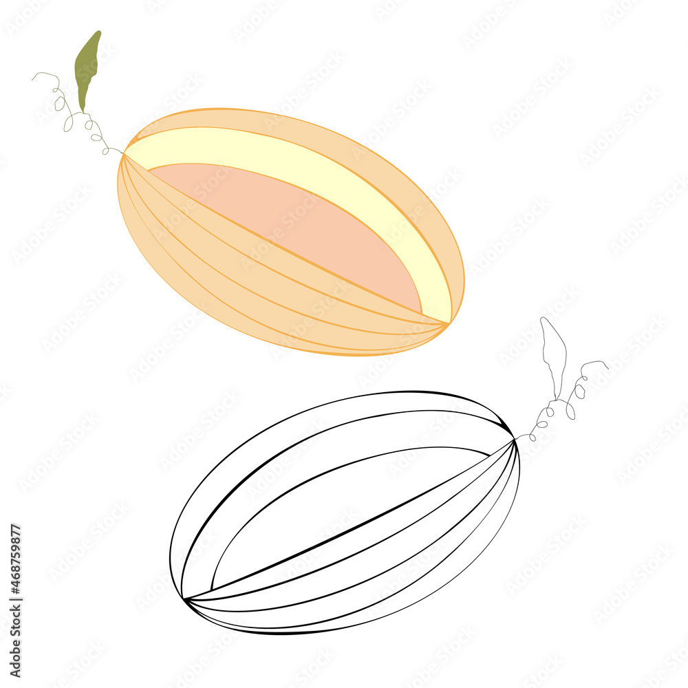 An outline vector illustration of two cut melons isolated on transparent background. Designed in orange, pink, black and white colors as a coloring book page An outline vector illustration of two cut melons isolated on transparent background. Designed in orange, pink, black and white colors as a coloring book page