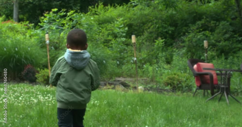 Rear view of boy walking in garden, New York, USA Rear view of boy walking in garden, New York, USA