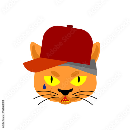 Cat Gangsta face. Angry pet muzzle. Animal bully member of gang of street criminals