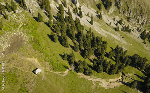 Aerial drone view above a sheepfold settlement located in a pasture, near a craggy valley with spruce trees, on top of Capatanii Massif, Carpathia, Romania.
 photo