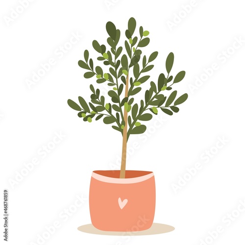 Isolated houseplant on white background. Olive tree plant on white background. Flat vector illustration