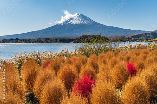 山梨県・河口湖大石公園の風景
【Mt. Fuji and Kochia Scoparia in Kawaguchi Lake, Yamanashi Prefecture, Japan】