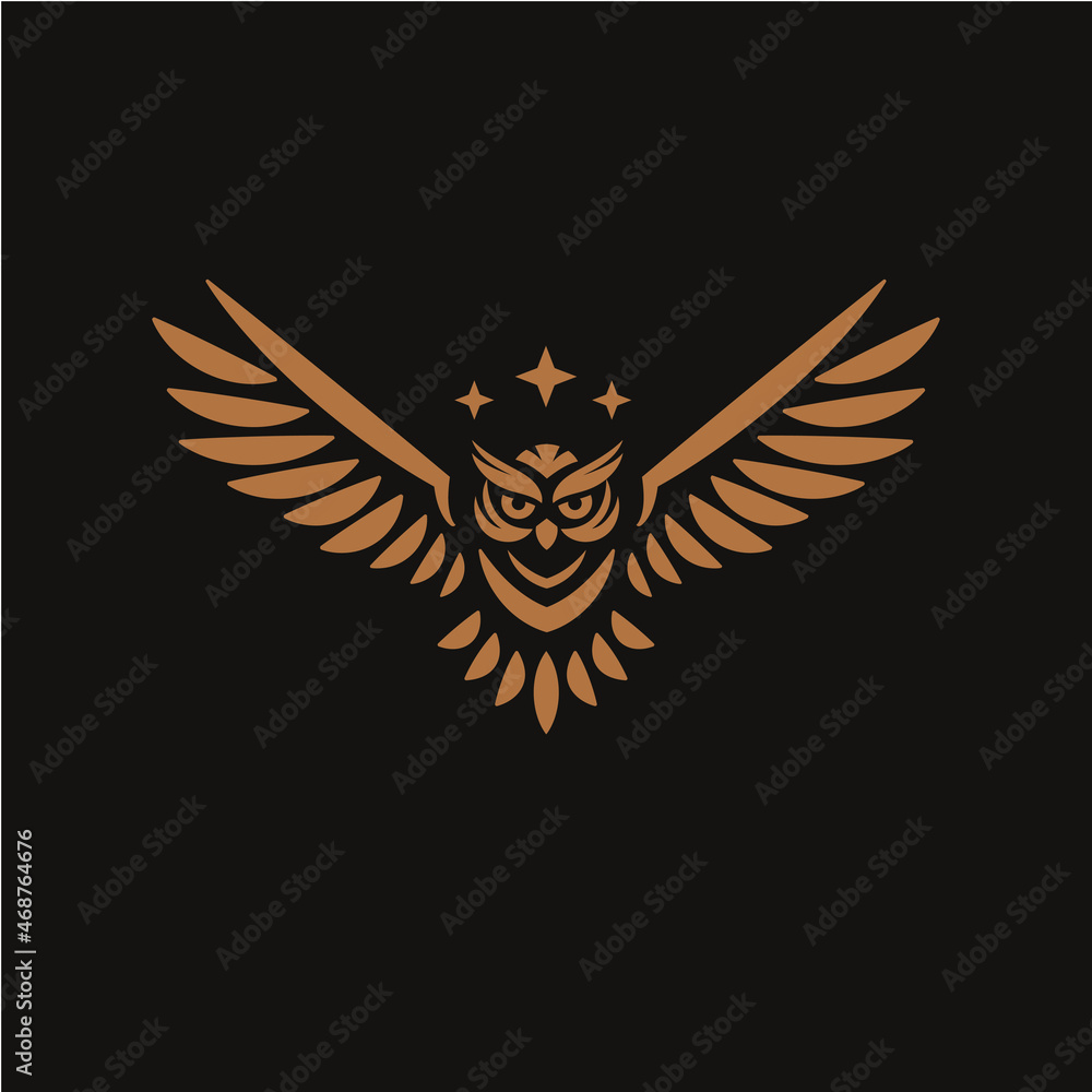 Obraz premium geometric color owl logo vector