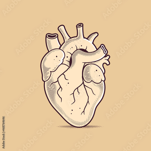 Human heart anatomical drawing in vintage retro style vector illustration