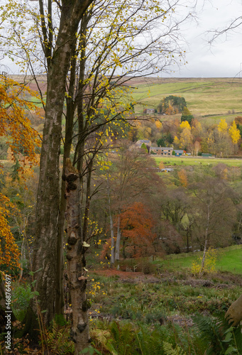 View to Eals in Northumberland from the South Tyne Trail in autumn