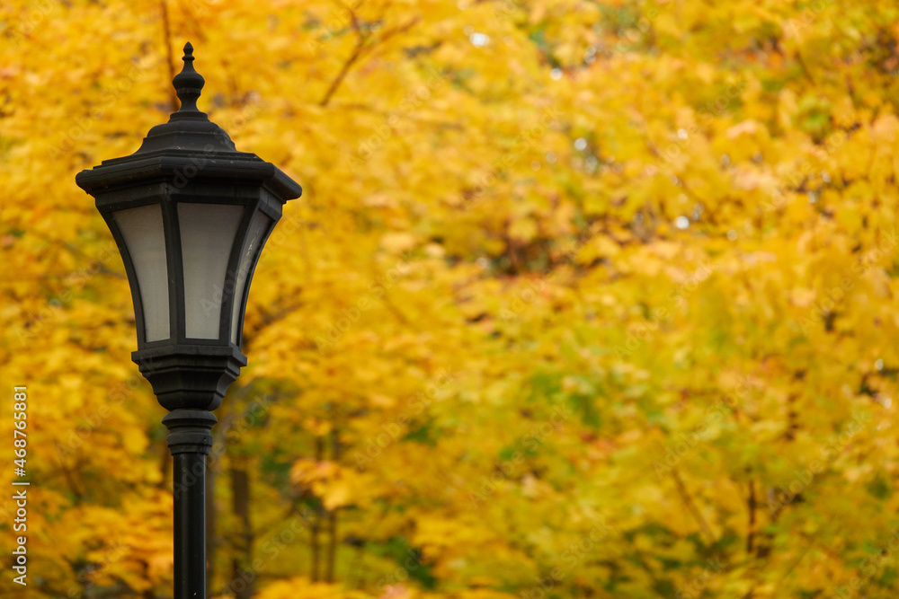 Street lamp against the background of yellow maple leaves. Autumn in the city.