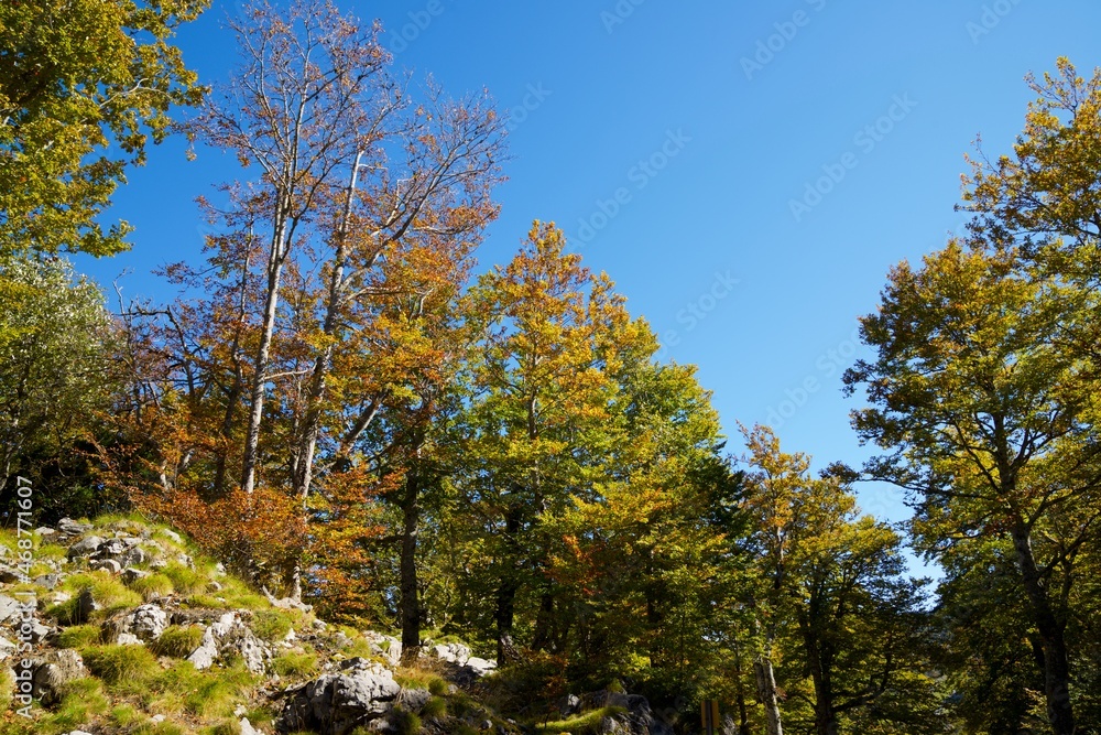 Autumn in the Pyrenees