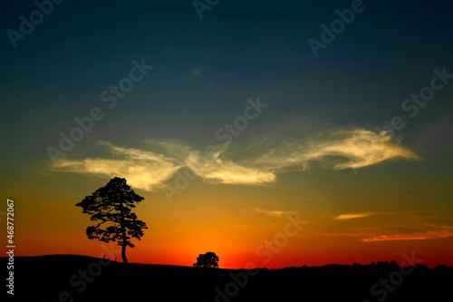 silhouette of a person at sunset © SaeWon