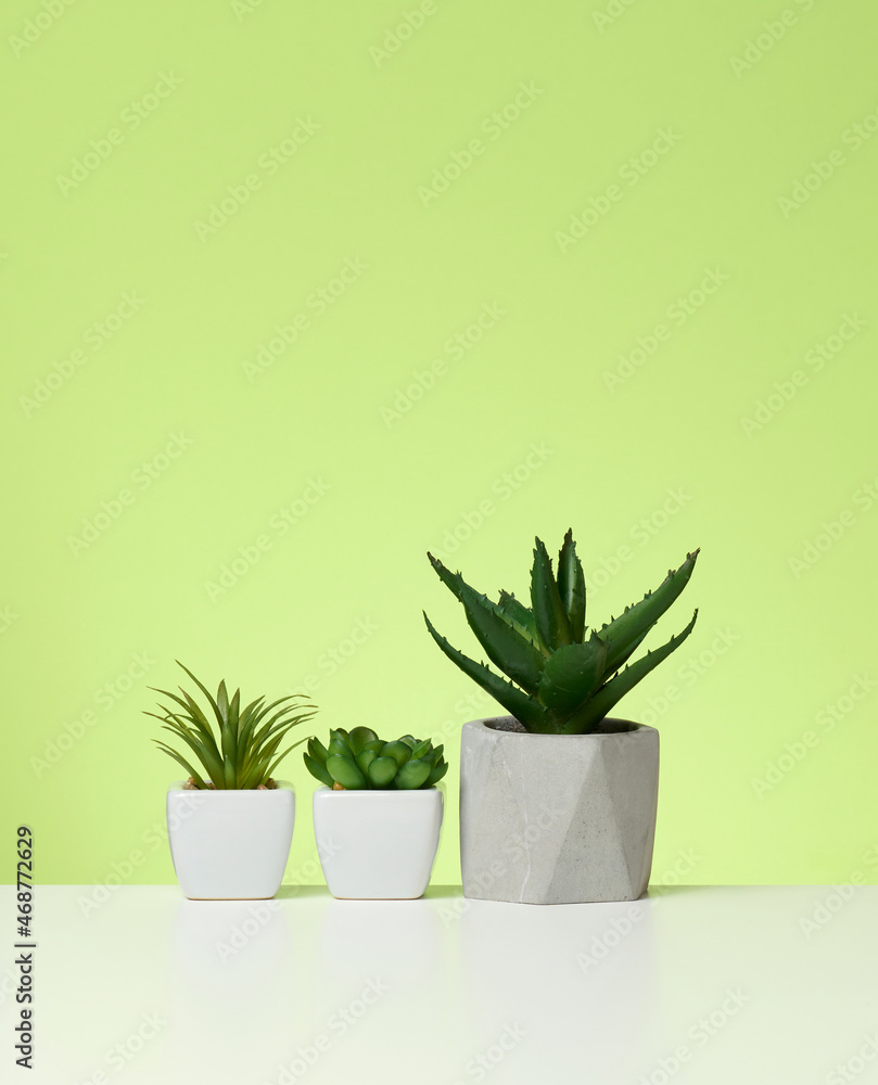three ceramic pots with plants on a white table, green background three ceramic pots with plants on a white table, green background