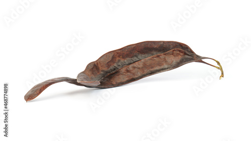 acacia fruits isolated on white background. Gleditsia triacanthos.