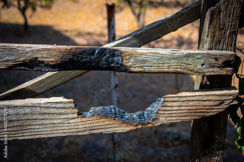 Legno sfuggito ai fuochi liberi - Cuglieri Incendio Sardegna estate 2021 