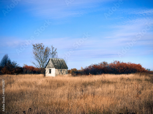 In a wild field there is an abandoned house, dried grass and shrubs around, the sky with small clouds, autumn mood