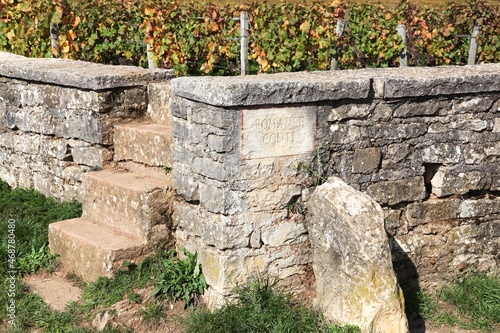 Romanée Conti vineyards in Burgundy, France photo