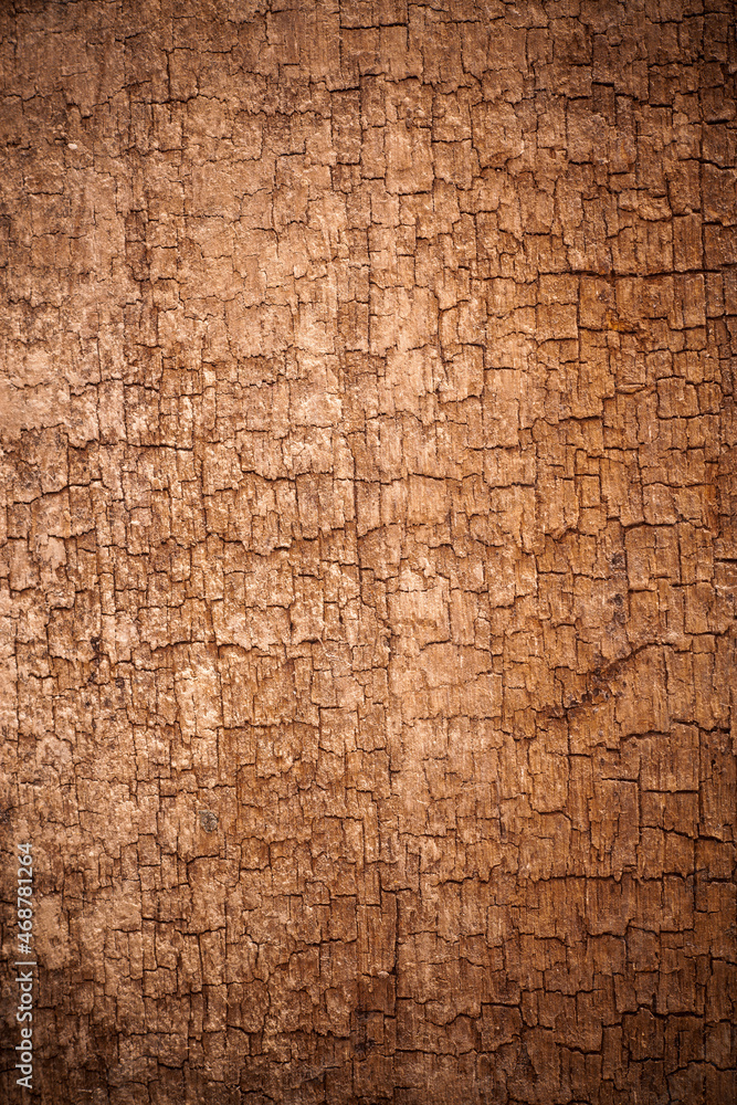 Old wooden brown background.