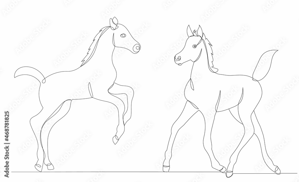 foal drawing one continuous line foal drawing one continuous line