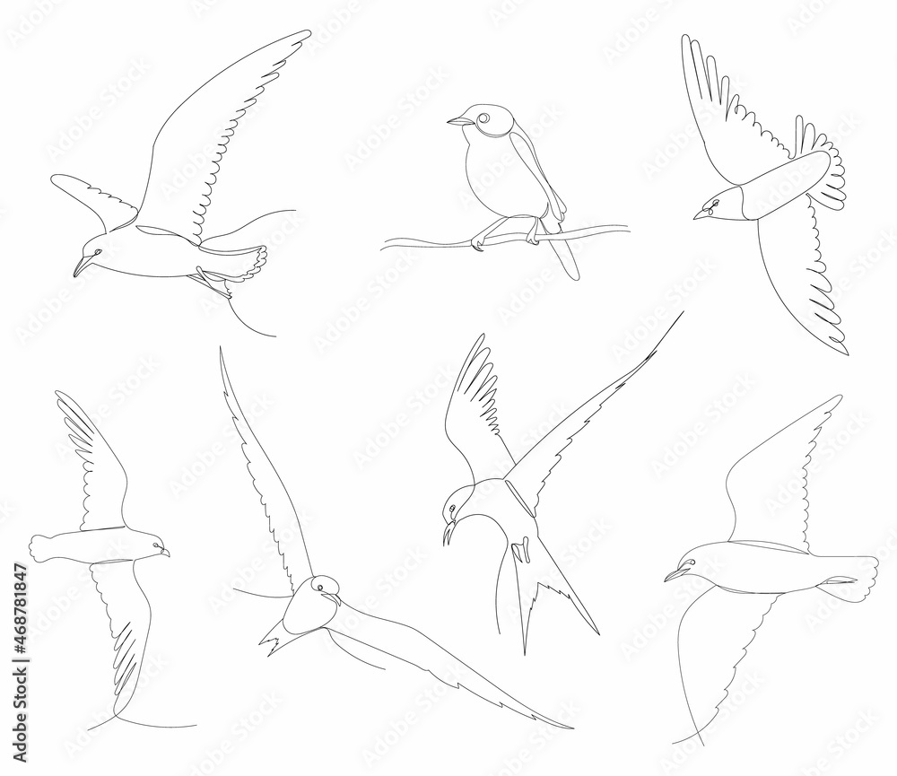 birds fly set one continuous line drawing vector, isolated birds fly set one continuous line drawing vector, isolated