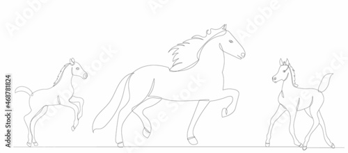 horse and foal one continuous line drawing vector, isolated