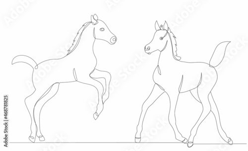 foal drawing one continuous line