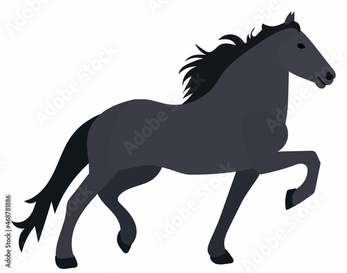 horse in flat style vector