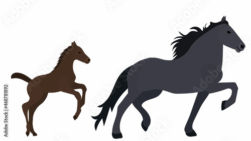 horse in flat style vector, isolated