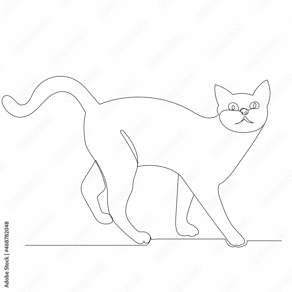 cat drawing one continuous line vector, isolated