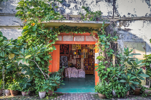 An old shophouse with all kinds of green plants growing around the wall.