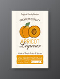 Apricot liqueur alcohol label template Modern vector packaging design layout Isolated