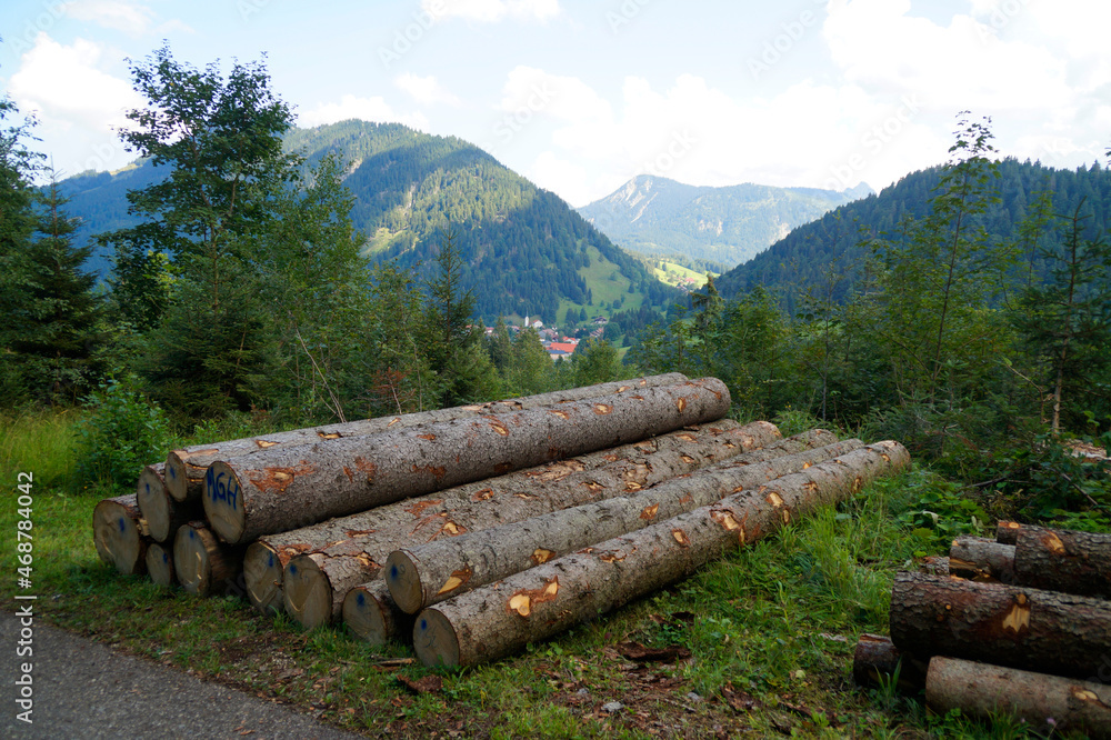 alpine landscape with fir trees and timber logs and the Alps in the background in Unterjoch region in Allgau, Bavaria (Germany) alpine landscape with fir trees and timber logs and the Alps in the background in Unterjoch region in Allgau, Bavaria (Germany)