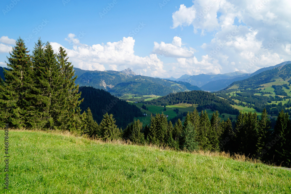 alpine landscape with green meadows, fir trees and the Alps (Buchelalpe or Buchel Alpe) in the background in Unterjoch region in Allgau, Bavaria (Germany)