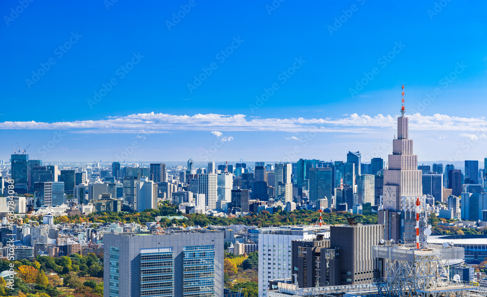 東京都庁から眺める都心部