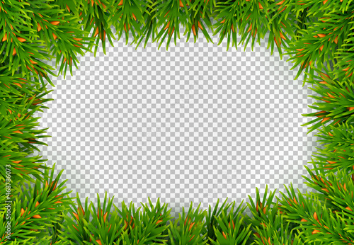 rectangular frame made of fir branches vector