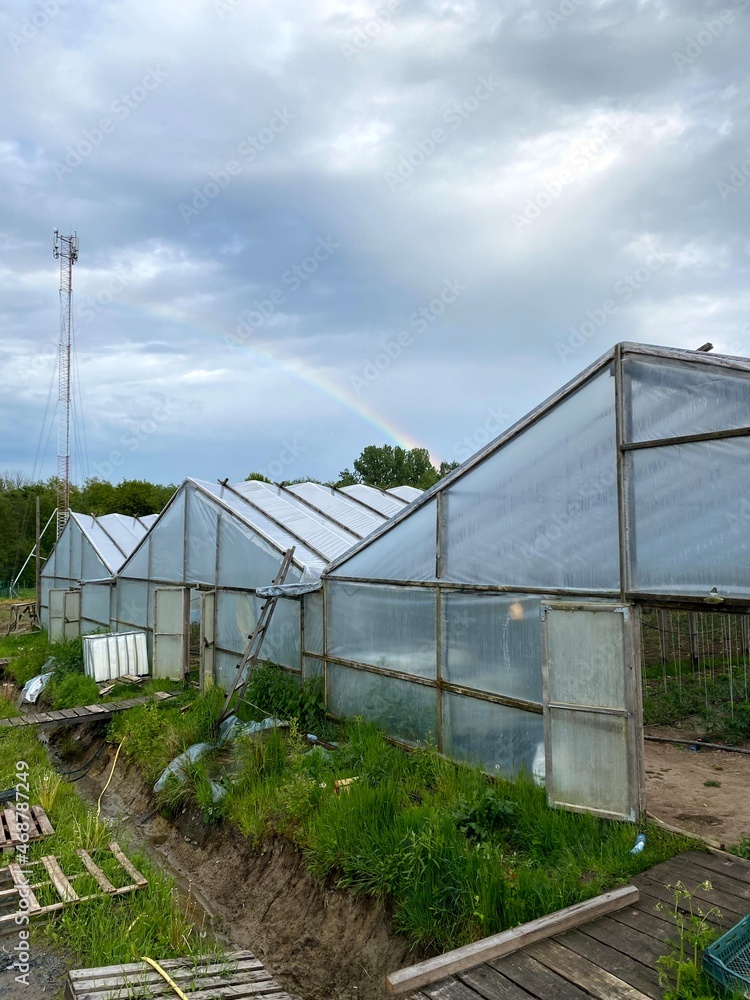 greenhouse made from plastic an wood in countryside greenhouse made from plastic an wood in countryside