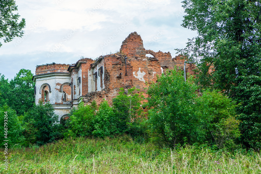 Fototapeta premium Ruins of Potemkin's palace. Manor of Gostilitsa. The village of Gostilitsy. Lomonosov district. Leningrad region. Russia
