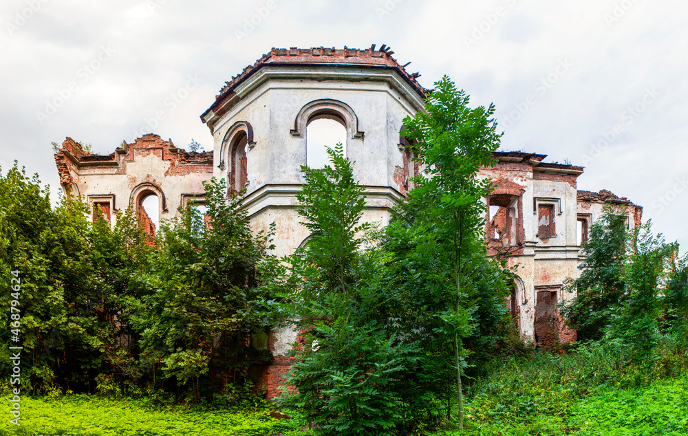 Ruins of Potemkin's palace. View from the west. Manor of Gostilitsa. The village of Gostilitsy. Lomonosov district. Leningrad region. Russia