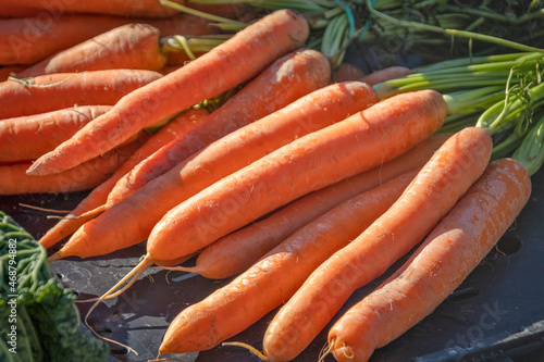 carottes fraiches sur le marché