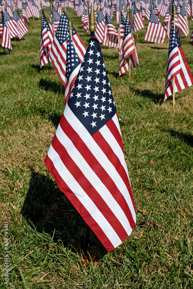 american-flag-in-a-sea-of-flags-honoring-military-veterans-on-a-bright