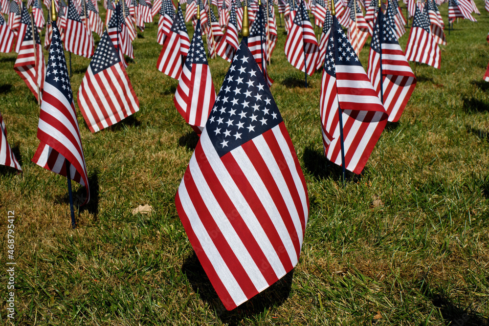 american-flag-in-a-sea-of-flags-honoring-military-veterans-on-a-bright