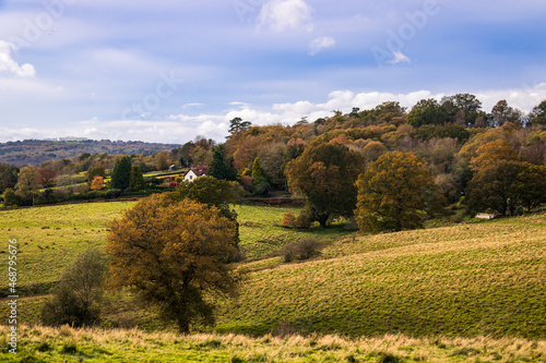 Autumn high weald rural countryside near Eridge East Sussex, south east England UK