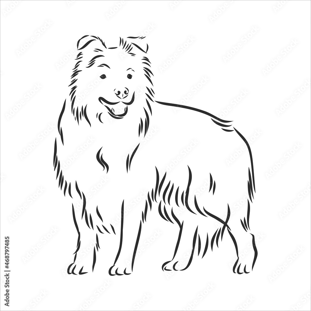 Border collie vector isolated hand drawing illustration in black color on white background