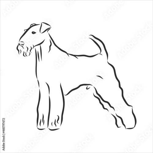 Airedale Terrier Dog. hand drawn. Vector illustration