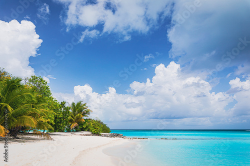 Fototapeta Naklejka Na Ścianę i Meble -  A paradise beach on an island with turquoise water and beautiful exotic flora - Maldives