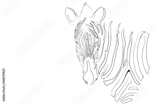 One line art skecth drawing zebra horse mammals animals illustration background vector