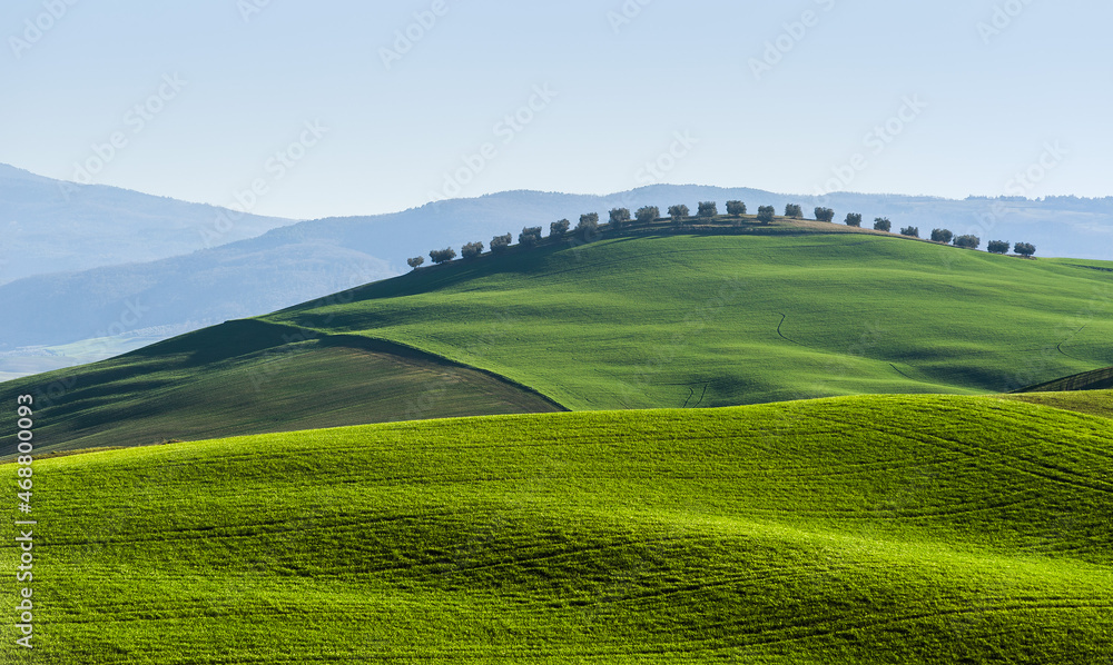 Obraz premium Val d'Orcia