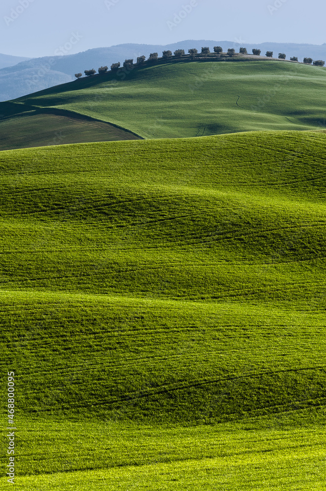 Obraz premium Val d'Orcia